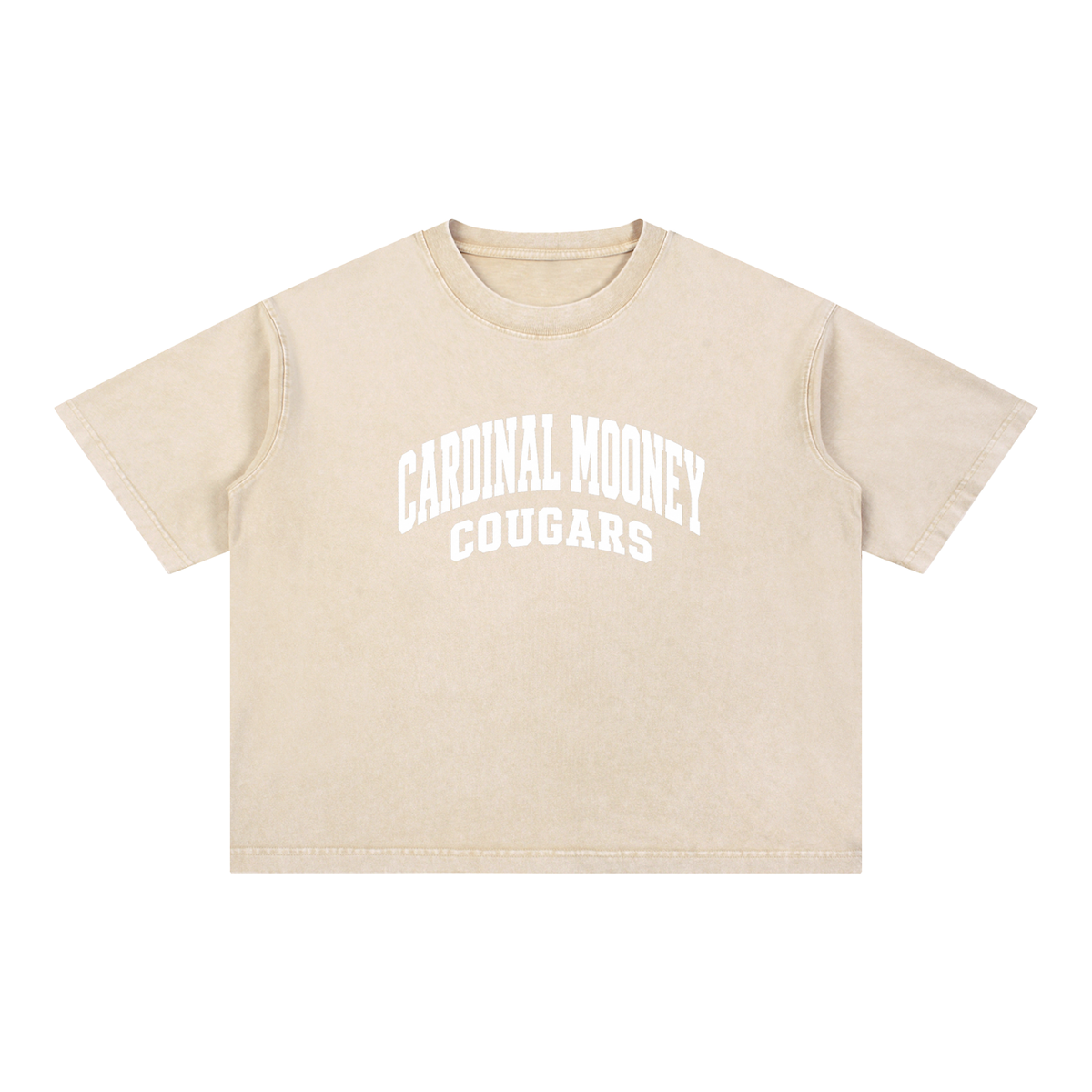 Basic 2 White Cardinal Mooney Mineral Wash Boxy Cotton T-Shirt