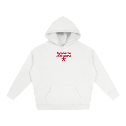 Big Star Tappan Zee Oversize Fleeced Hoodie