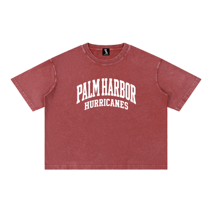 Basic 2 White Palm Harbor Mineral Wash Boxy Cotton T-Shirt