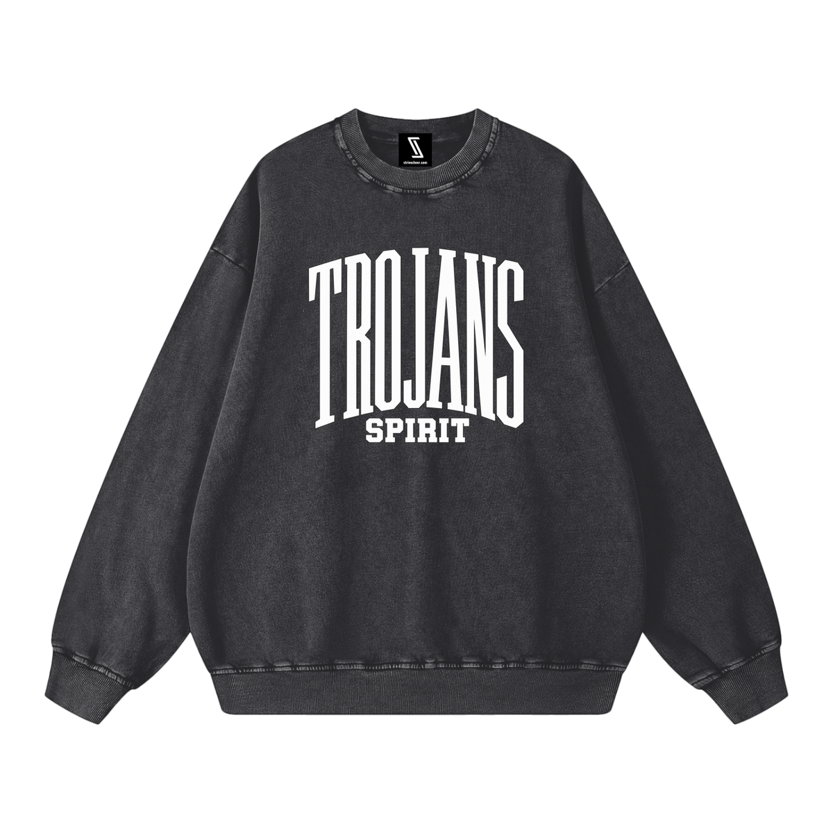 Snow Washed Oversized Sweatshirt
