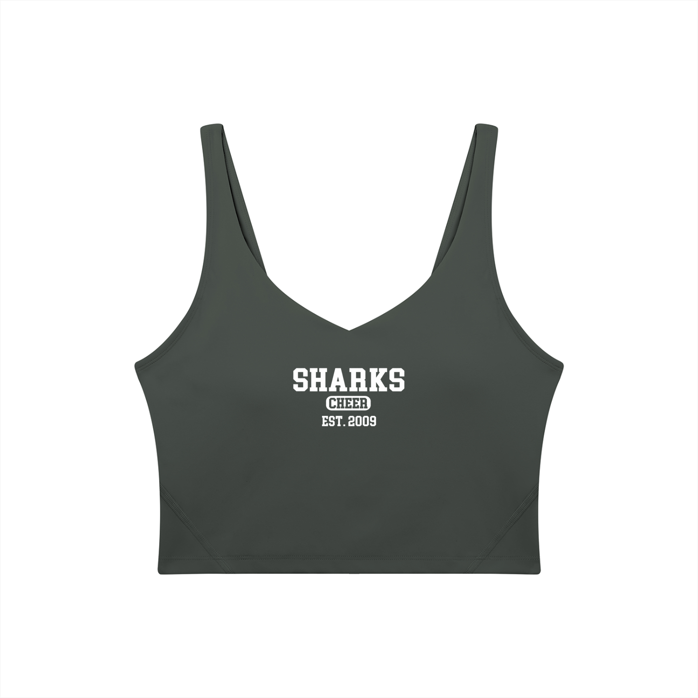 Old School Oasis Women's V-Neck Yoga Sports Bra