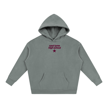 Big Star East Lyme Oversize Fleeced Hoodie