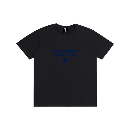 Big Star Palm Harbor Pure Cotton Unisex T-Shirt