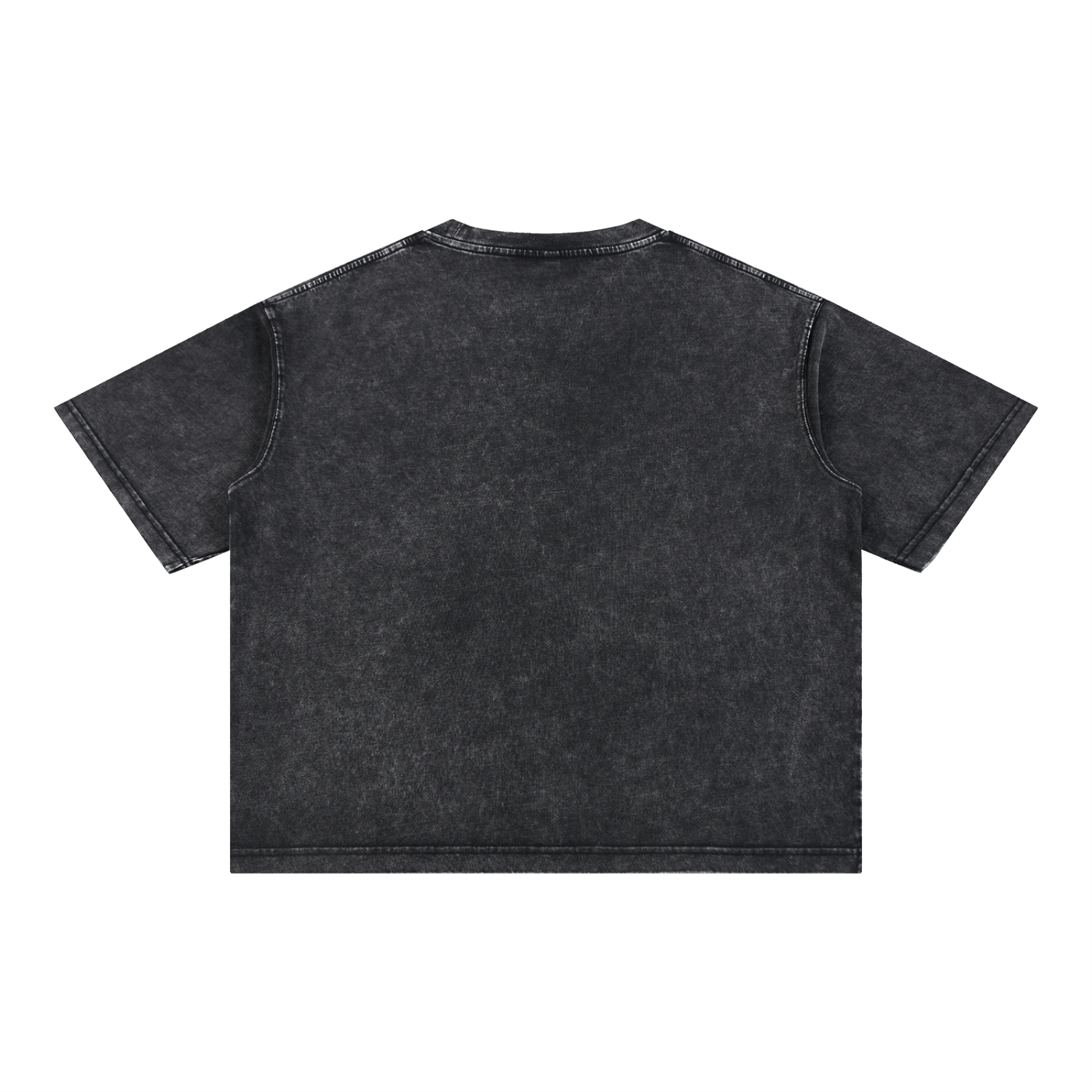 Basic 2 Lakewood Ranch Mineral Wash Boxy Cotton T-Shirt