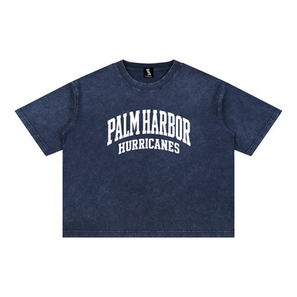 Basic 2 White Palm Harbor Mineral Wash Boxy Cotton T-Shirt