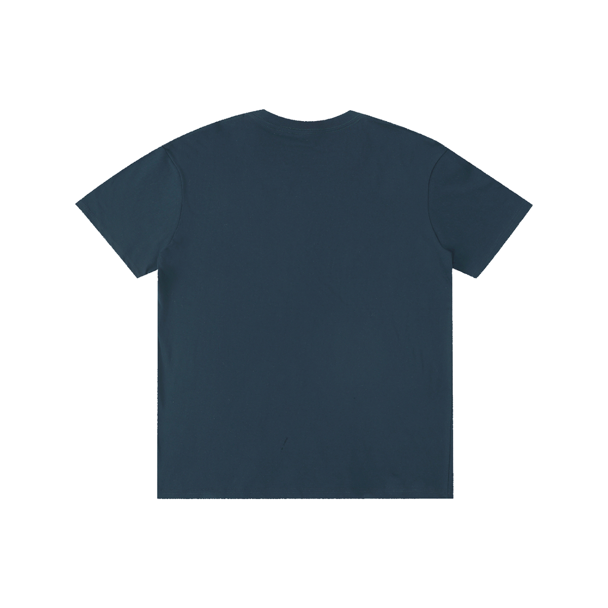 Basic 2 White Palm Harbor Pure Cotton Unisex T-Shirt