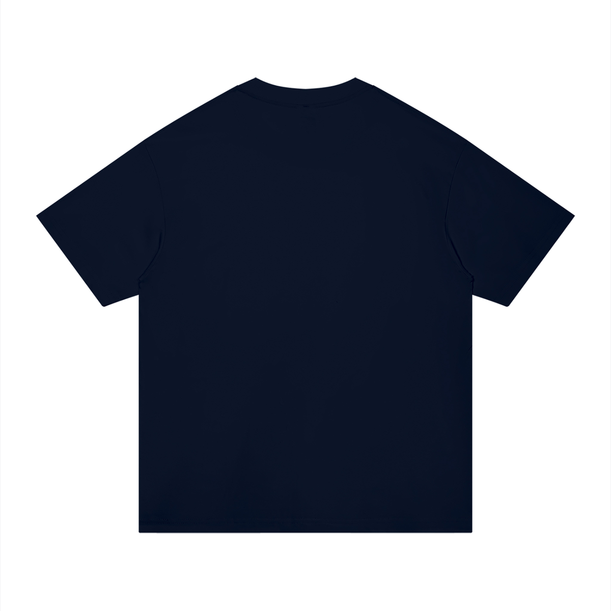Basic 2 White Oasis Unisex Regular Fit Cotton T-Shirt
