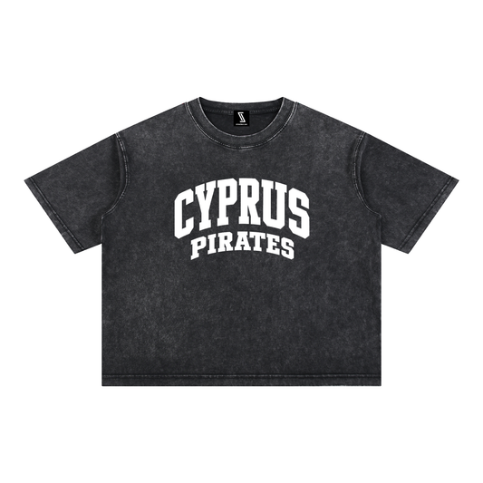 Basic 2 White Cyprus Mineral Wash Boxy Cotton T-Shirt