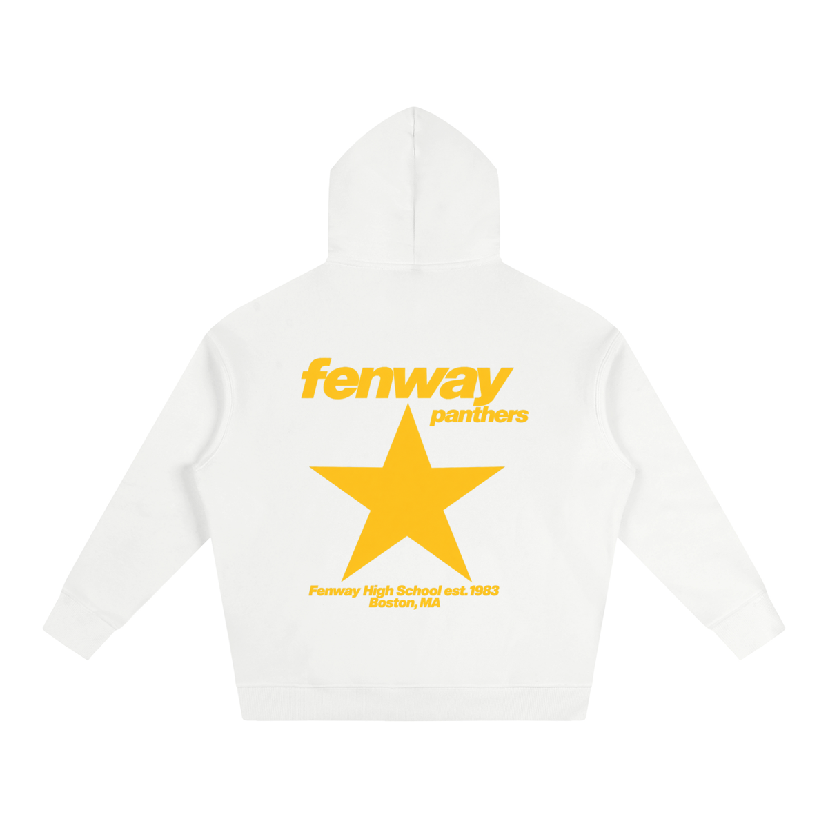 Big Star Fenway Oversize Fleeced Hoodie
