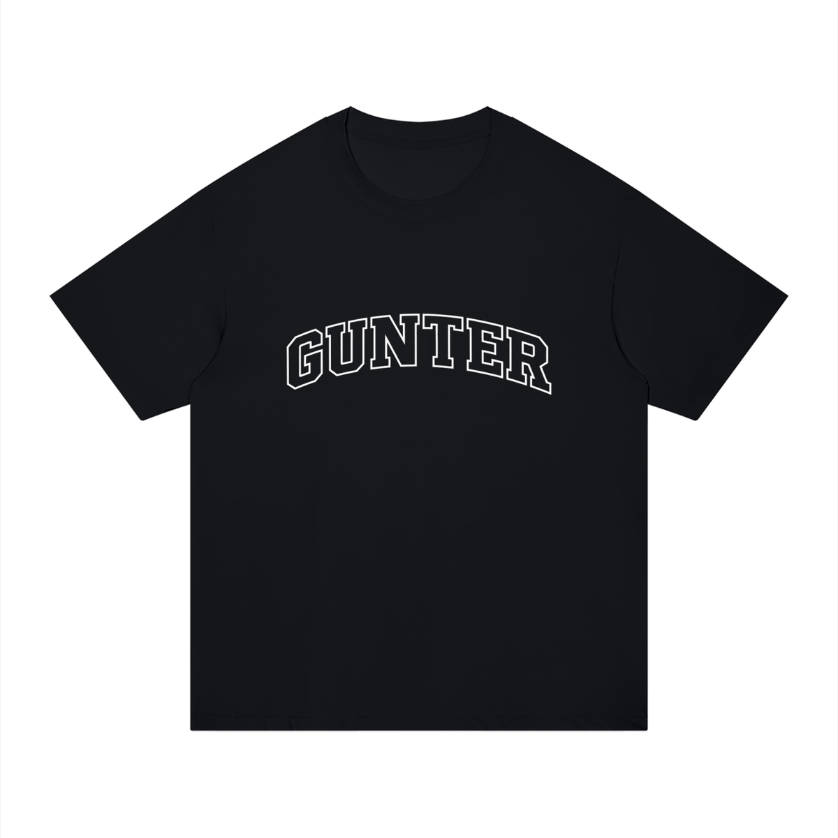 Basic 5 Gunter Unisex Regular Fit Cotton T-Shirt