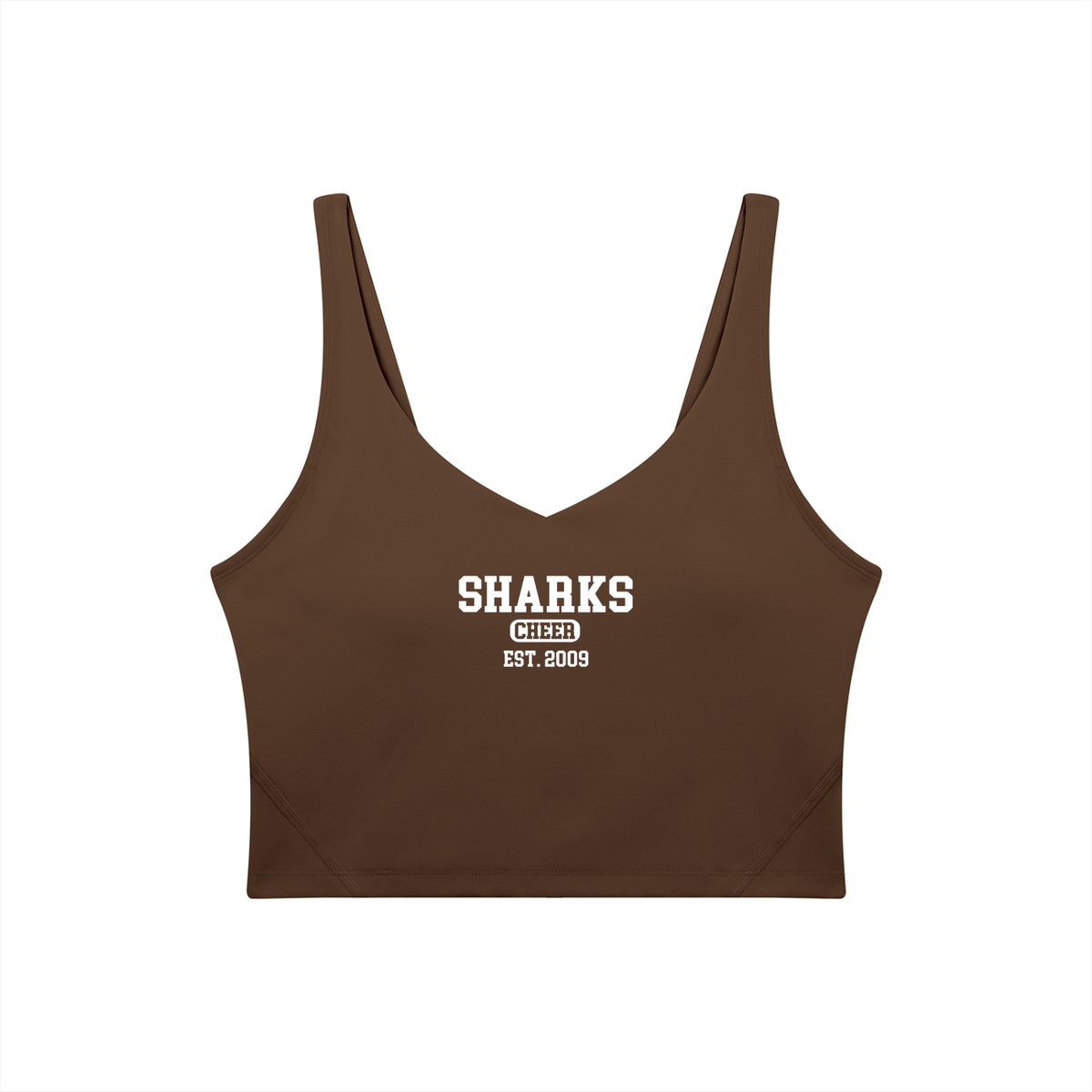 Old School Oasis Women's V-Neck Yoga Sports Bra