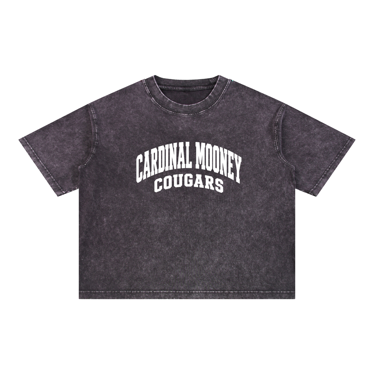 Basic 2 White Cardinal Mooney Mineral Wash Boxy Cotton T-Shirt
