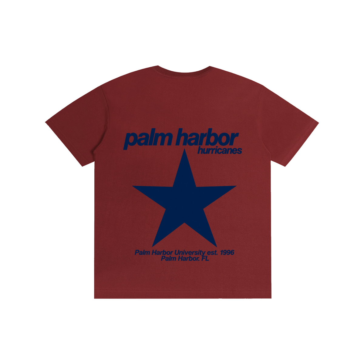 Big Star Palm Harbor Pure Cotton Unisex T-Shirt