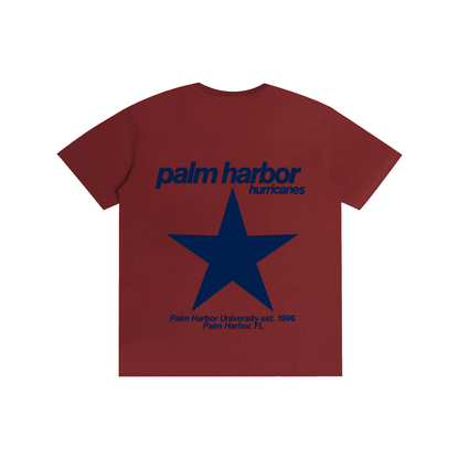 Big Star Palm Harbor Pure Cotton Unisex T-Shirt