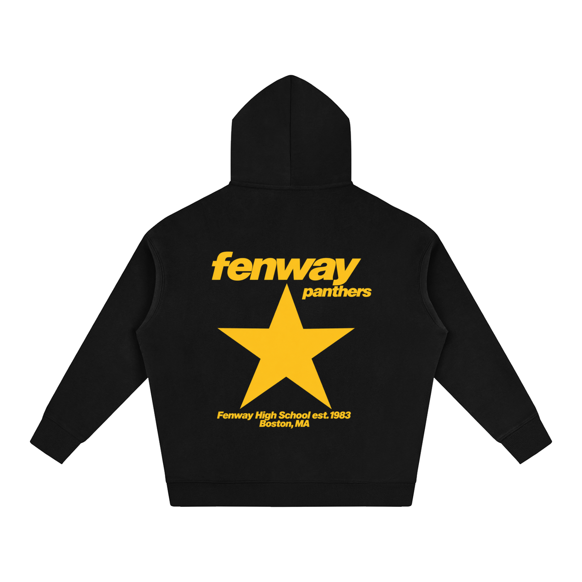 Big Star Fenway Oversize Fleeced Hoodie