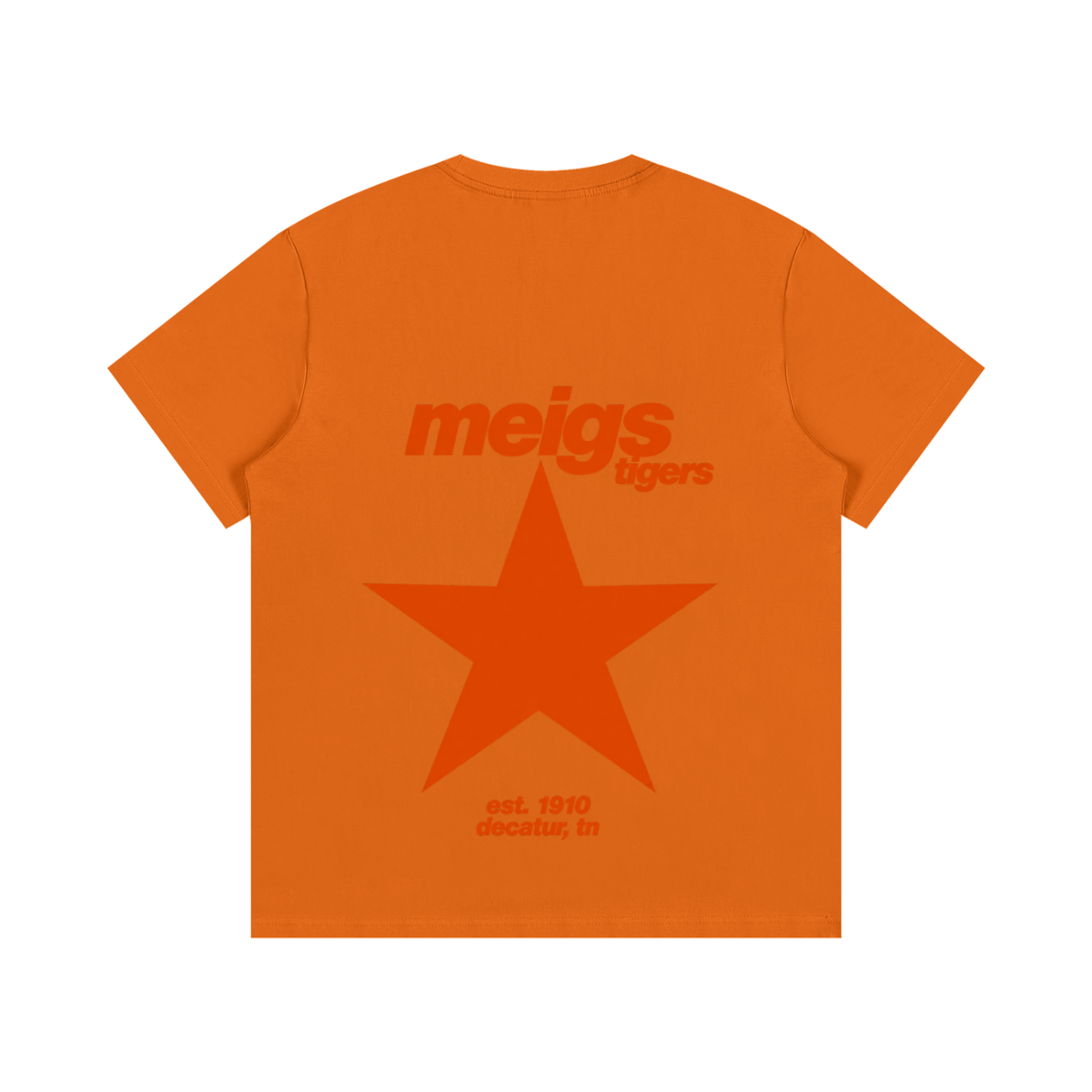 Big Star Meigs County Essential Cotton T-Shirt