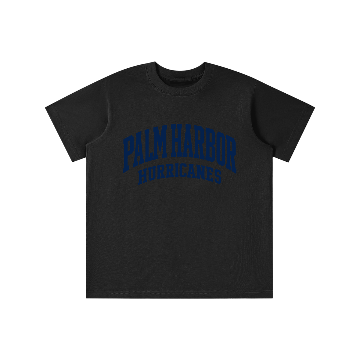 Basic 2 Palm Harbor Essential Kids' T-shirt