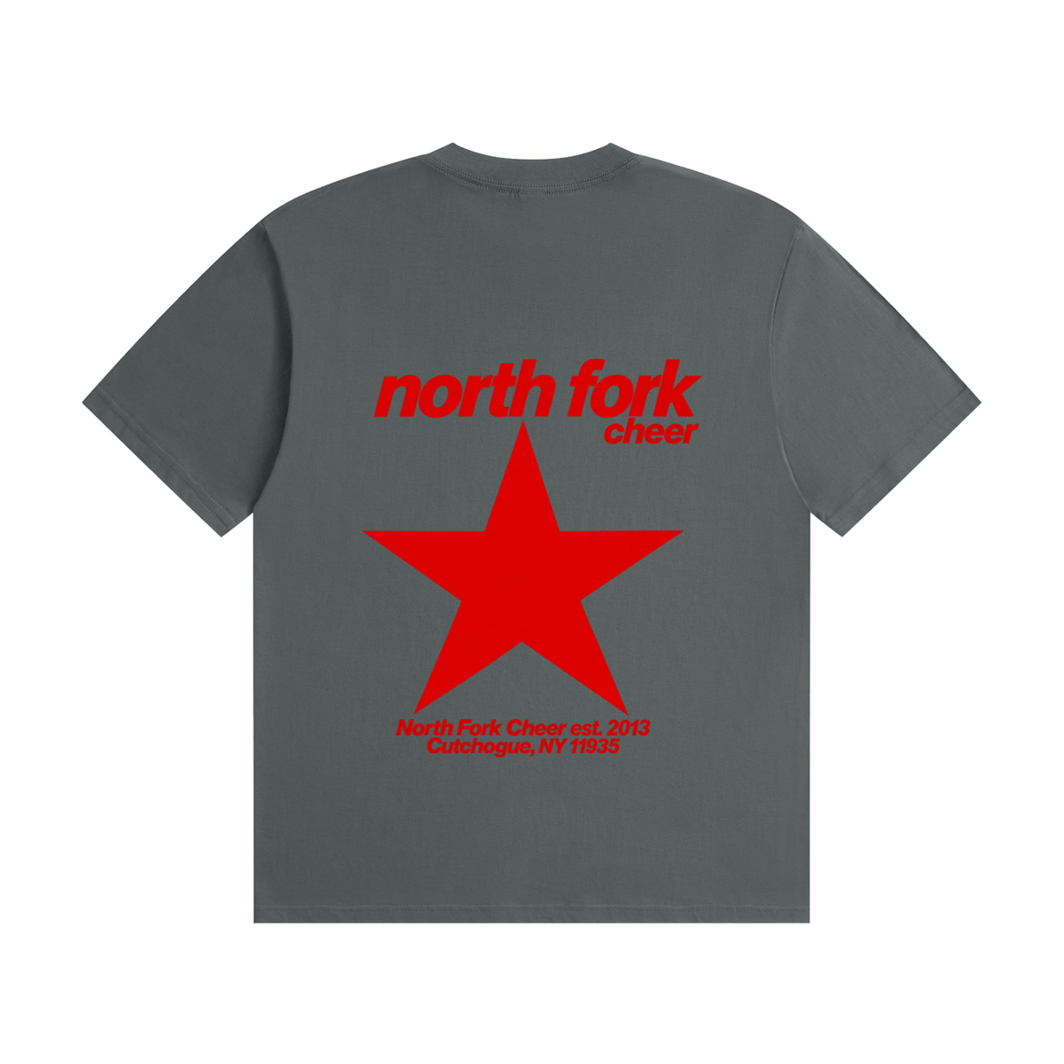 Big Star North Fork Unisex Seamless Cotton T-Shirt