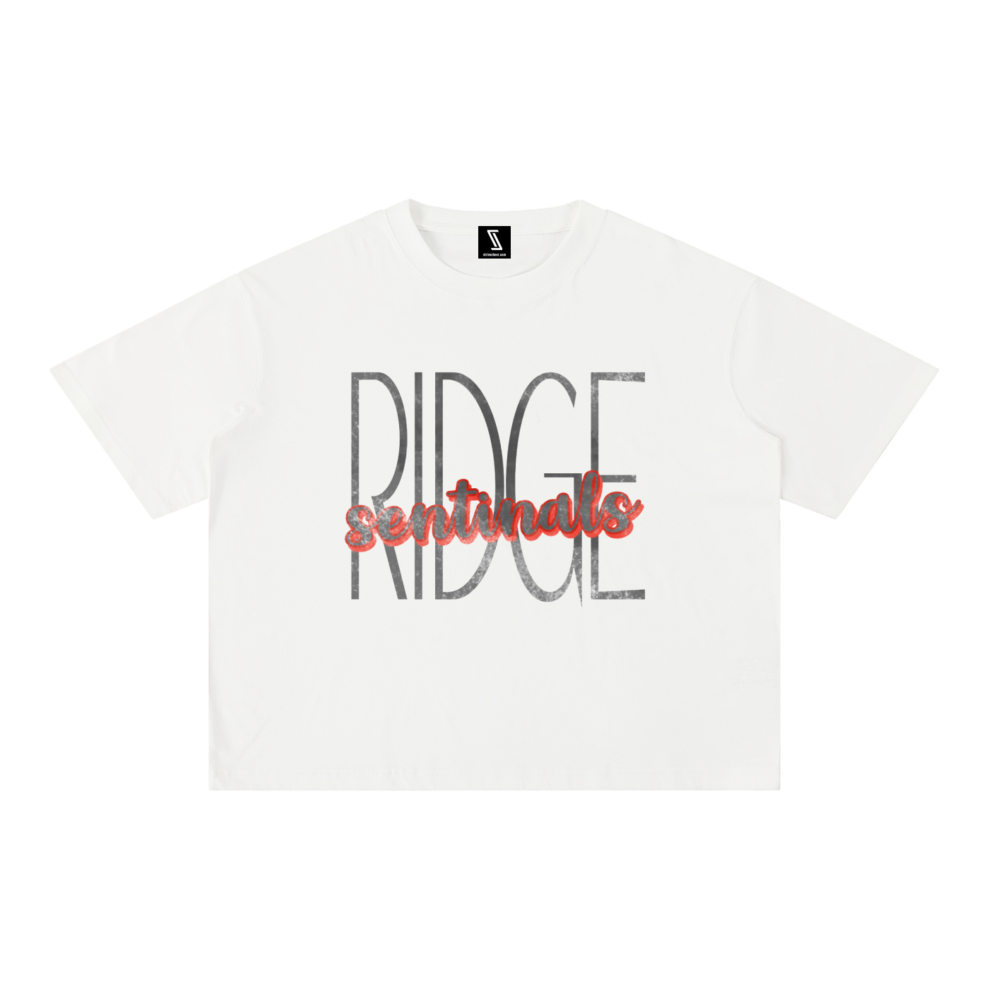 Mineral Wash Boxy Cotton T-Shirt