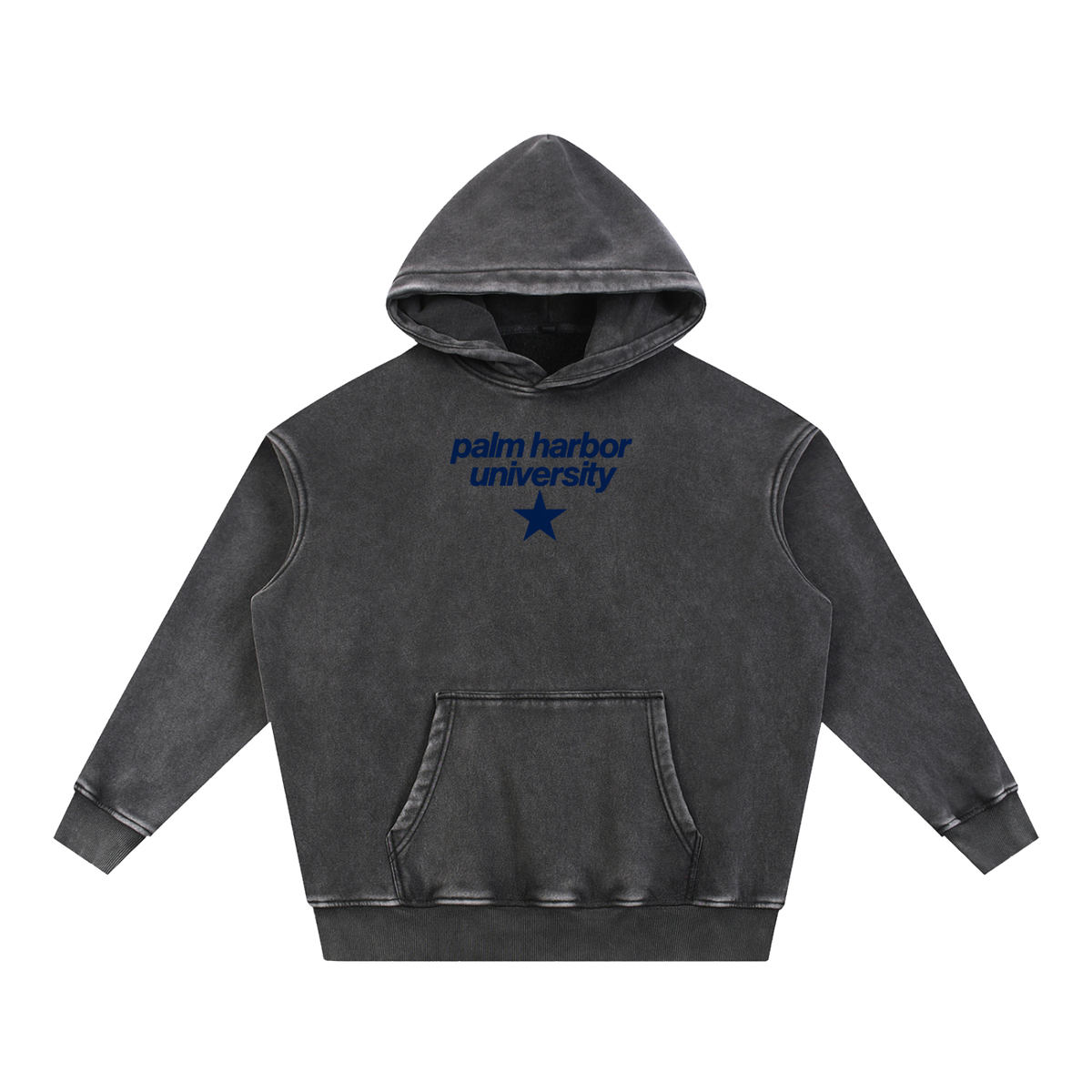 Big Star Palm Harbor Snow Wash Fleece Oversize Hoodie