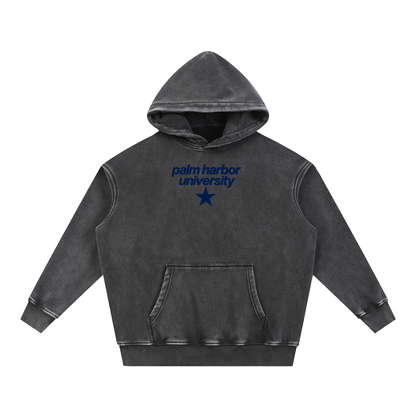 Big Star Palm Harbor Snow Wash Fleece Oversize Hoodie