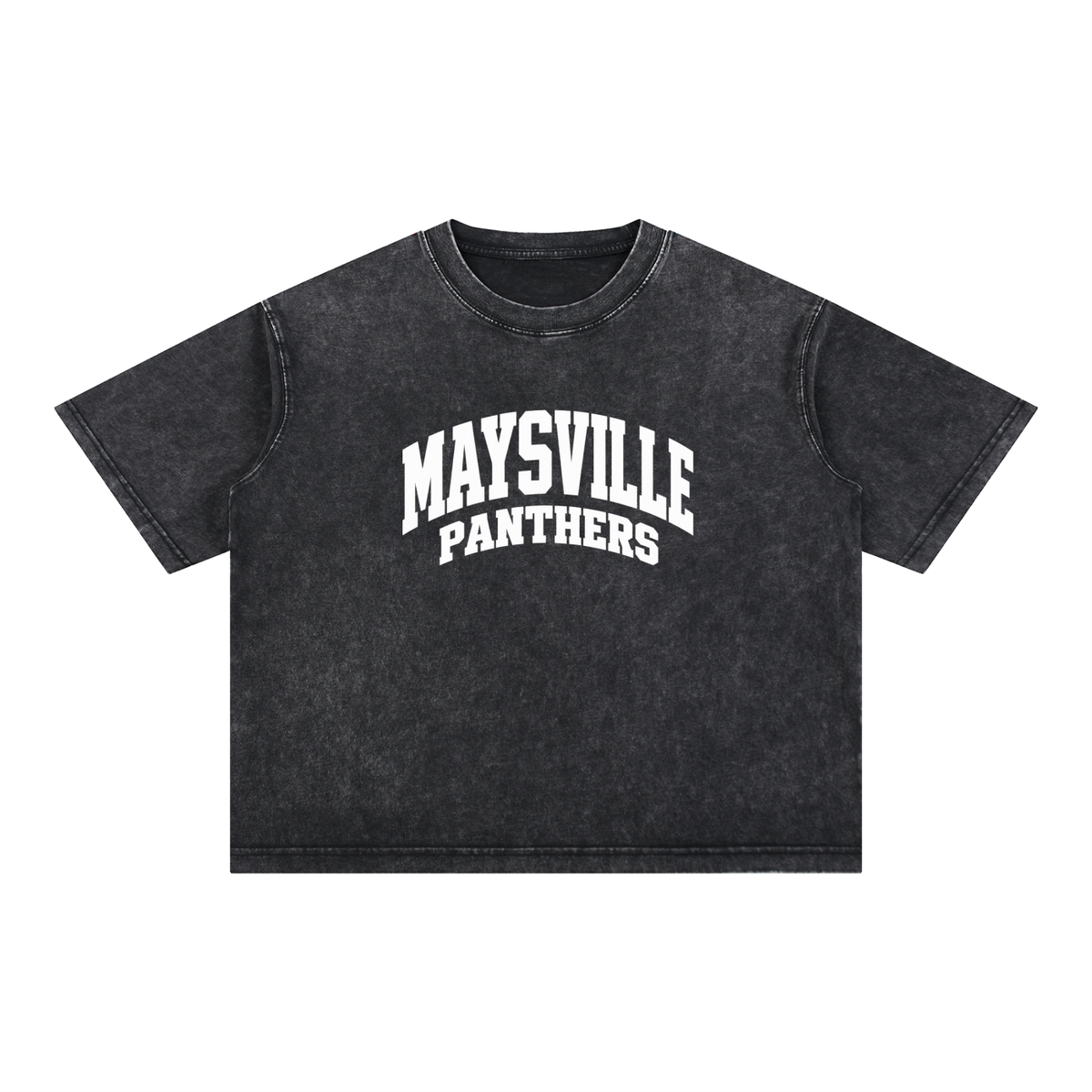 Basic 2 White Maysville Mineral Wash Boxy Cotton T-Shirt