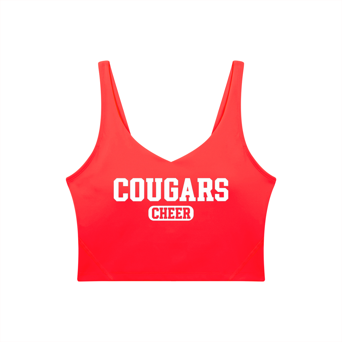 Old School Cardinal Mooney Women's V-Neck Yoga Sports Bra