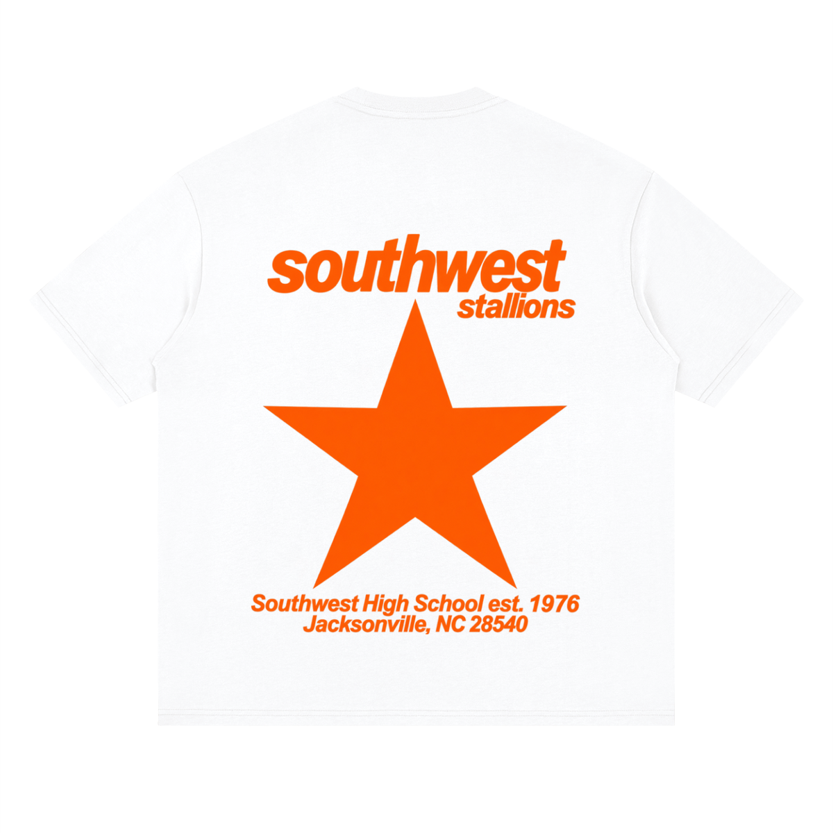 Big Star Southwest Oversized Drop Shoulder T-Shirt
