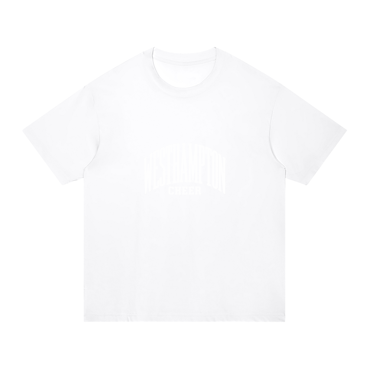 Basic 3 Westhampton Unisex Regular Fit Cotton T-Shirt