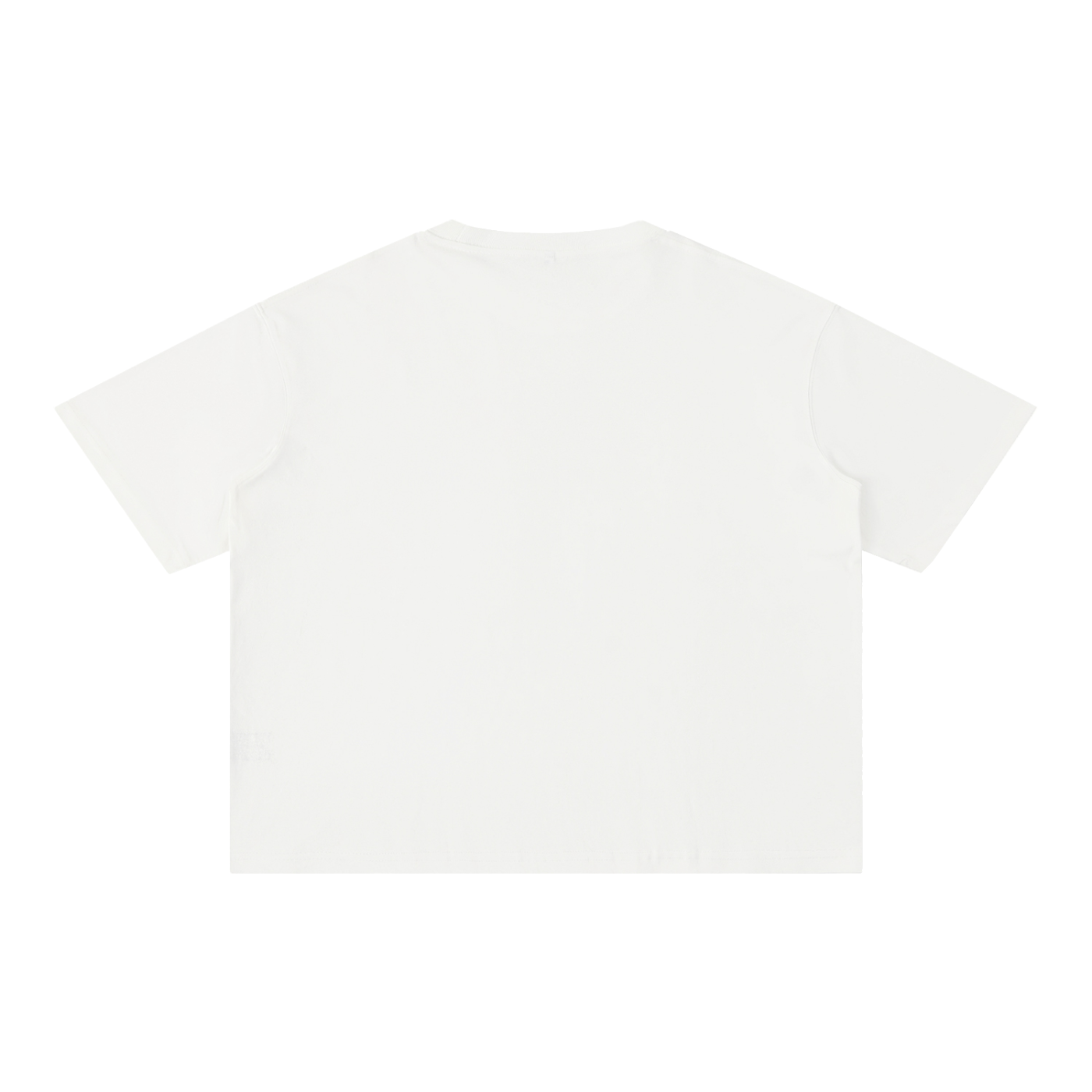 Basic 2 Lakewood Ranch Mineral Wash Boxy Cotton T-Shirt