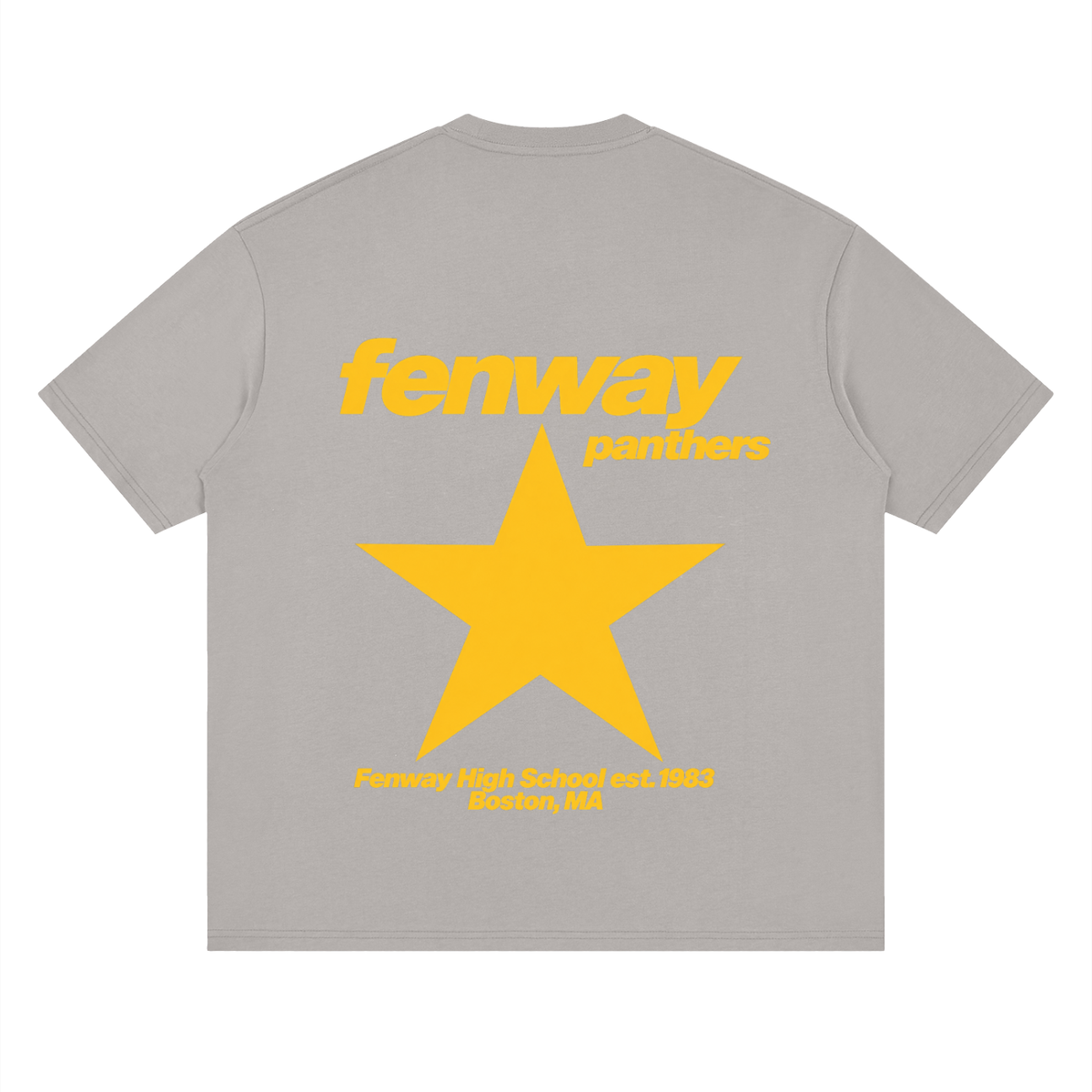 Big Star Fenway Oversized Drop Shoulder T-Shirt
