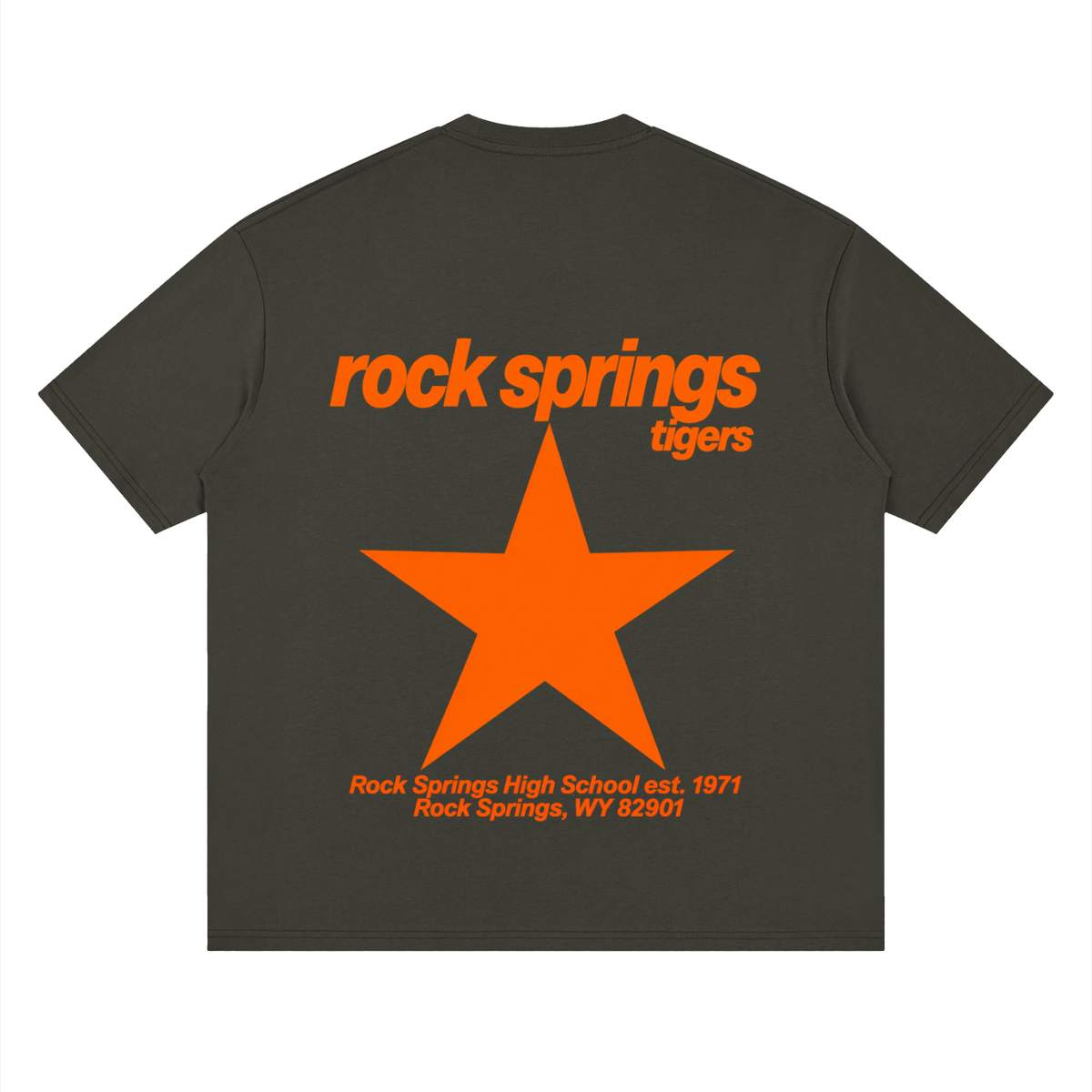 Big Star Rock Springs Oversized Drop Shoulder T-Shirt