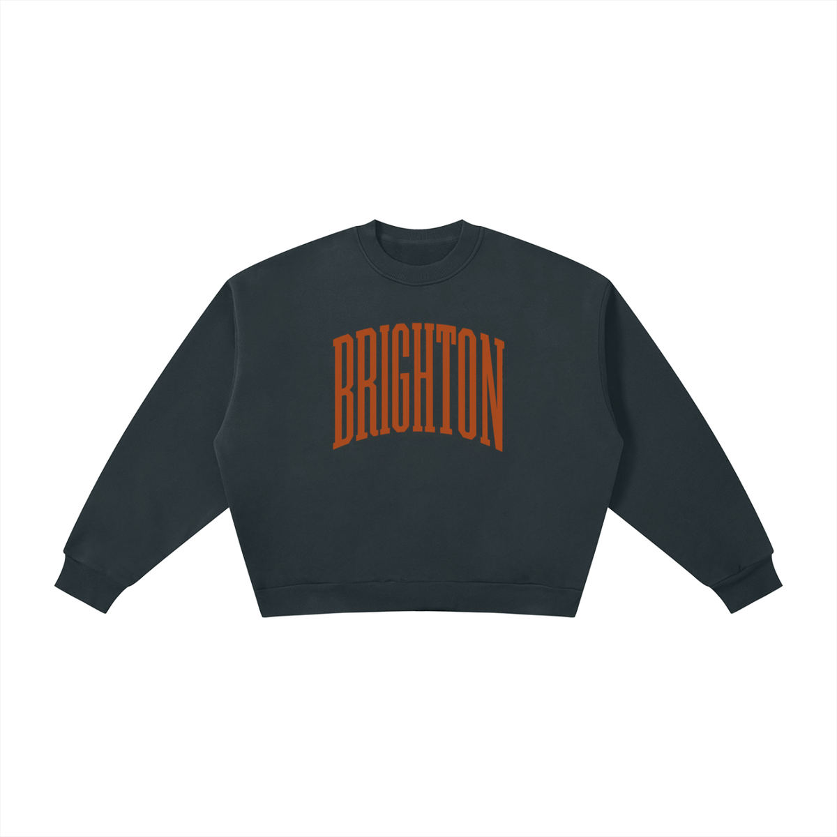 Boxy Fleece Crewneck Sweatshirt