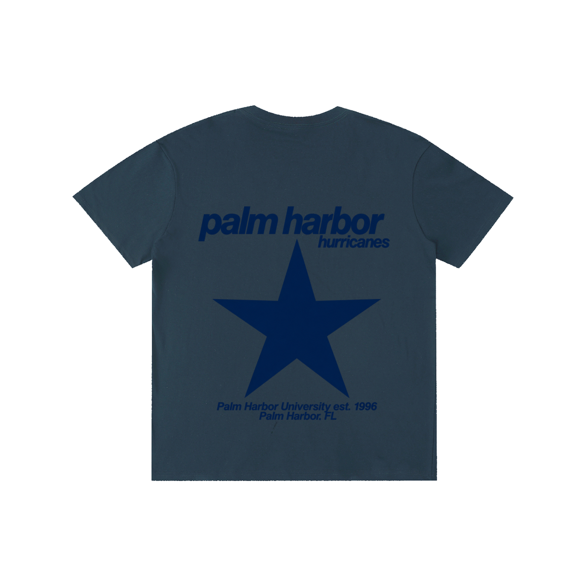 Big Star Palm Harbor Pure Cotton Unisex T-Shirt