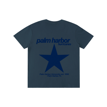 Big Star Palm Harbor Pure Cotton Unisex T-Shirt