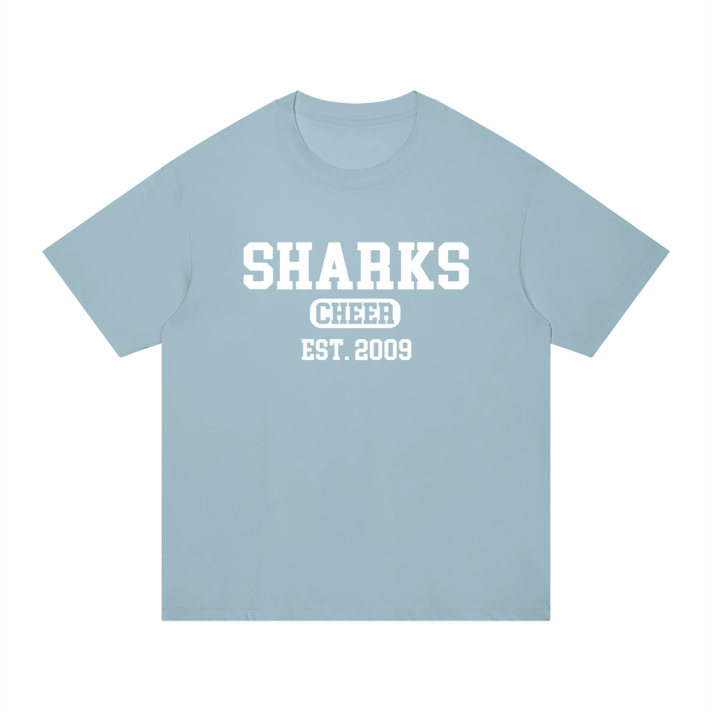 Old School Oasis Unisex Regular Fit Cotton T-Shirt