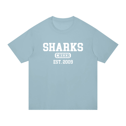 Old School Oasis Unisex Regular Fit Cotton T-Shirt