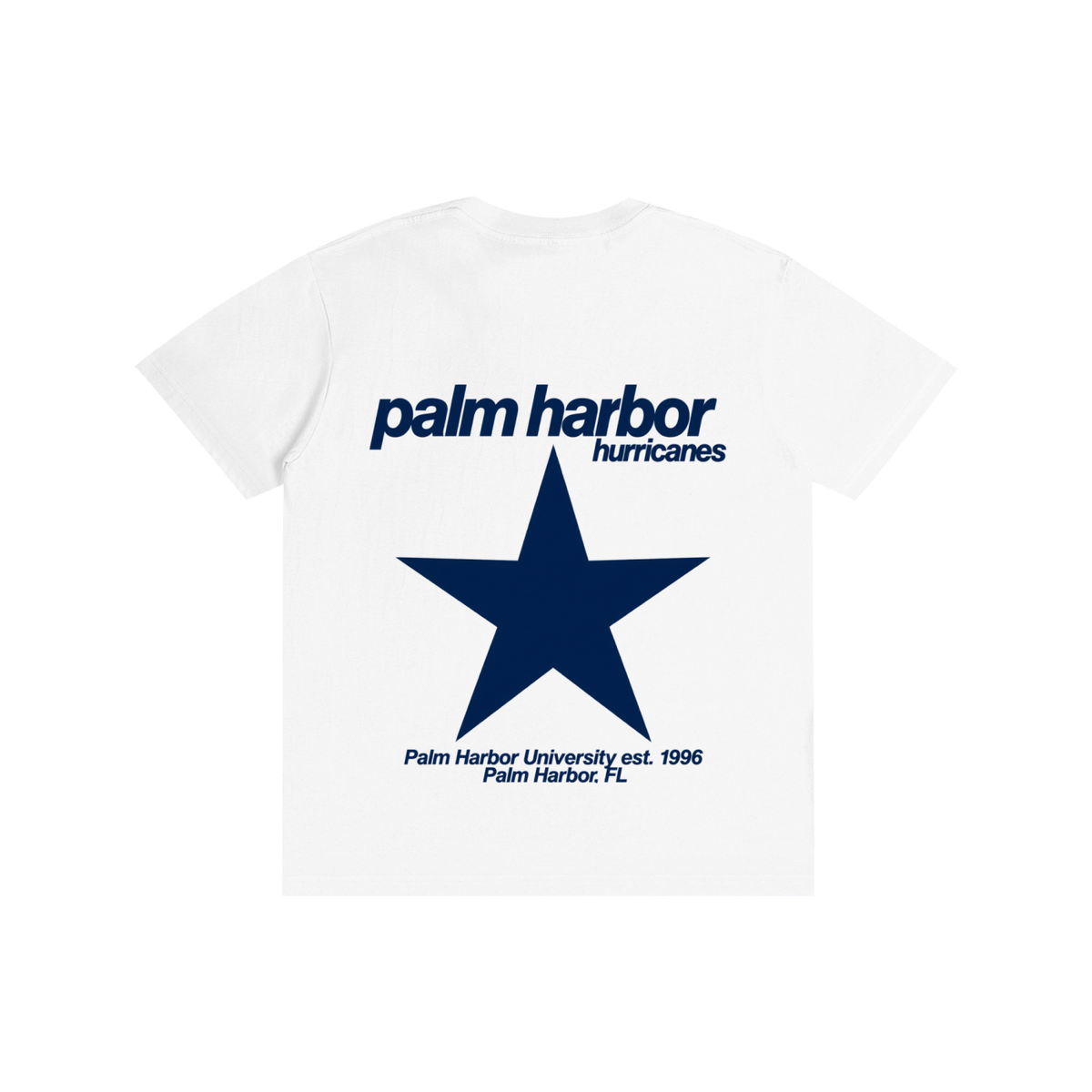 Big Star Palm Harbor Pure Cotton Unisex T-Shirt