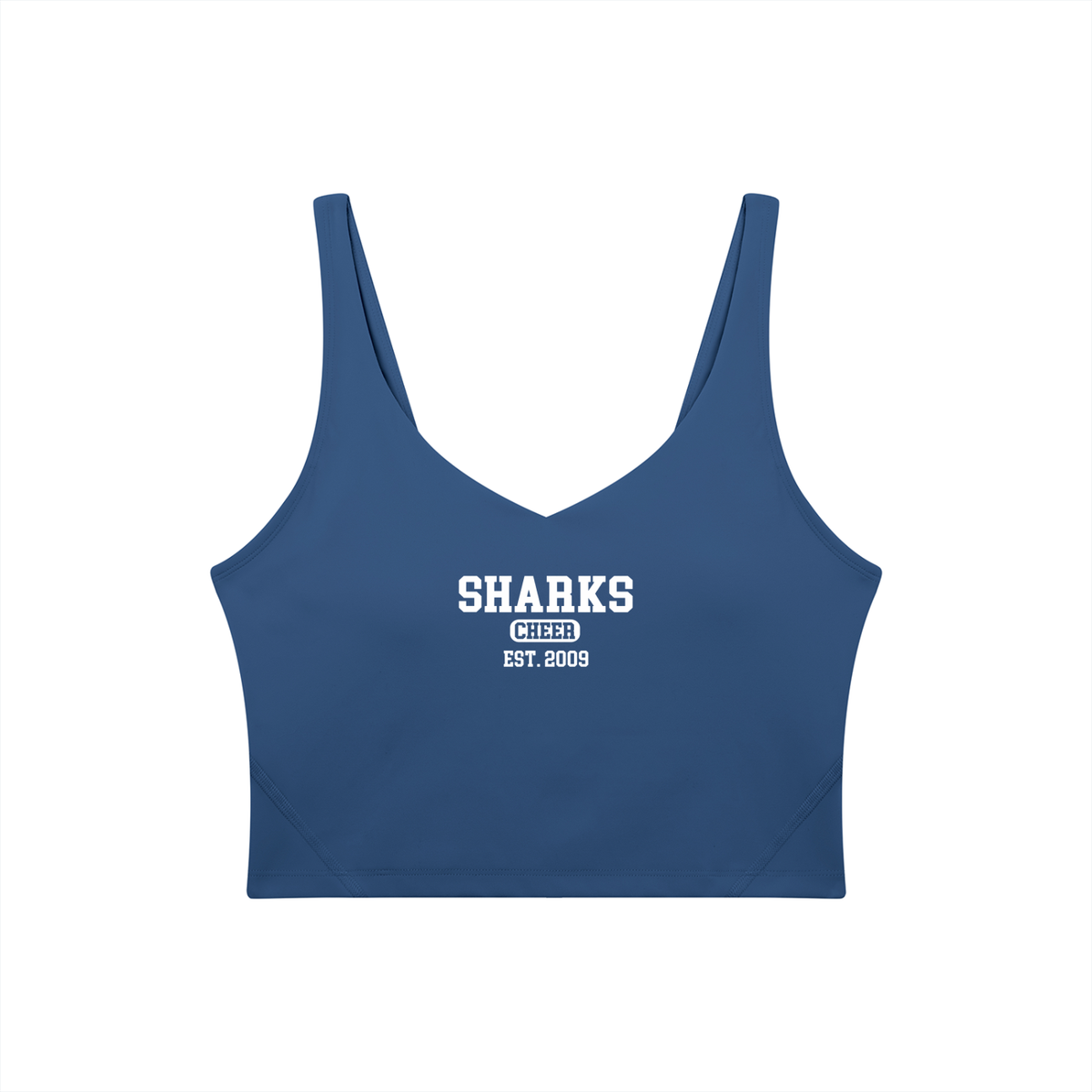 Old School Oasis Women's V-Neck Yoga Sports Bra