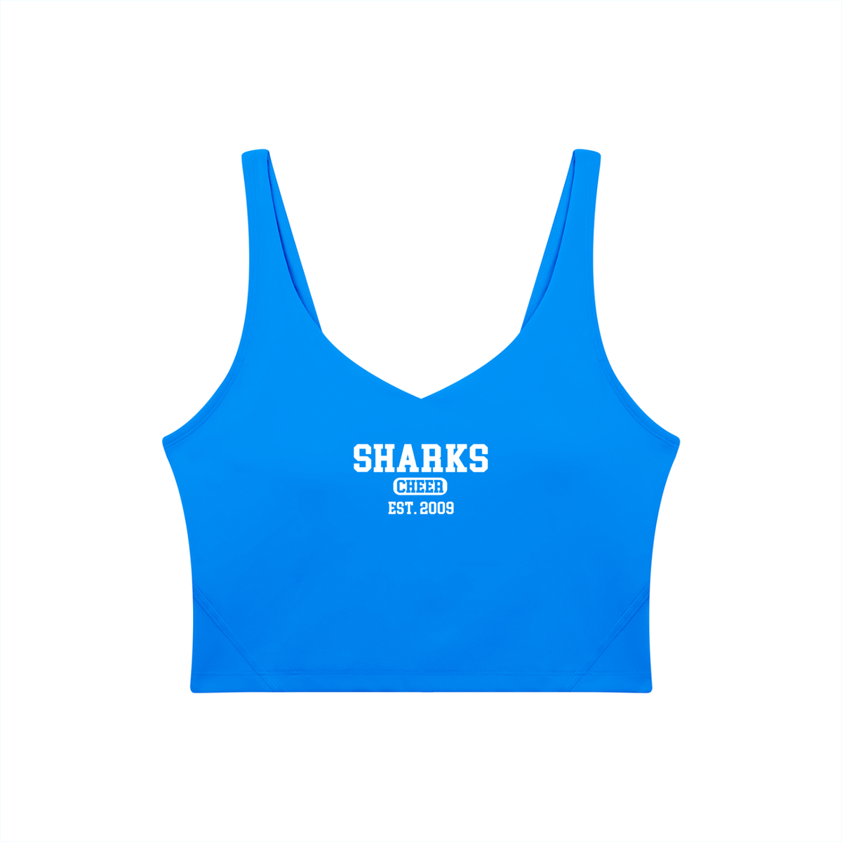 Old School Oasis Women's V-Neck Yoga Sports Bra
