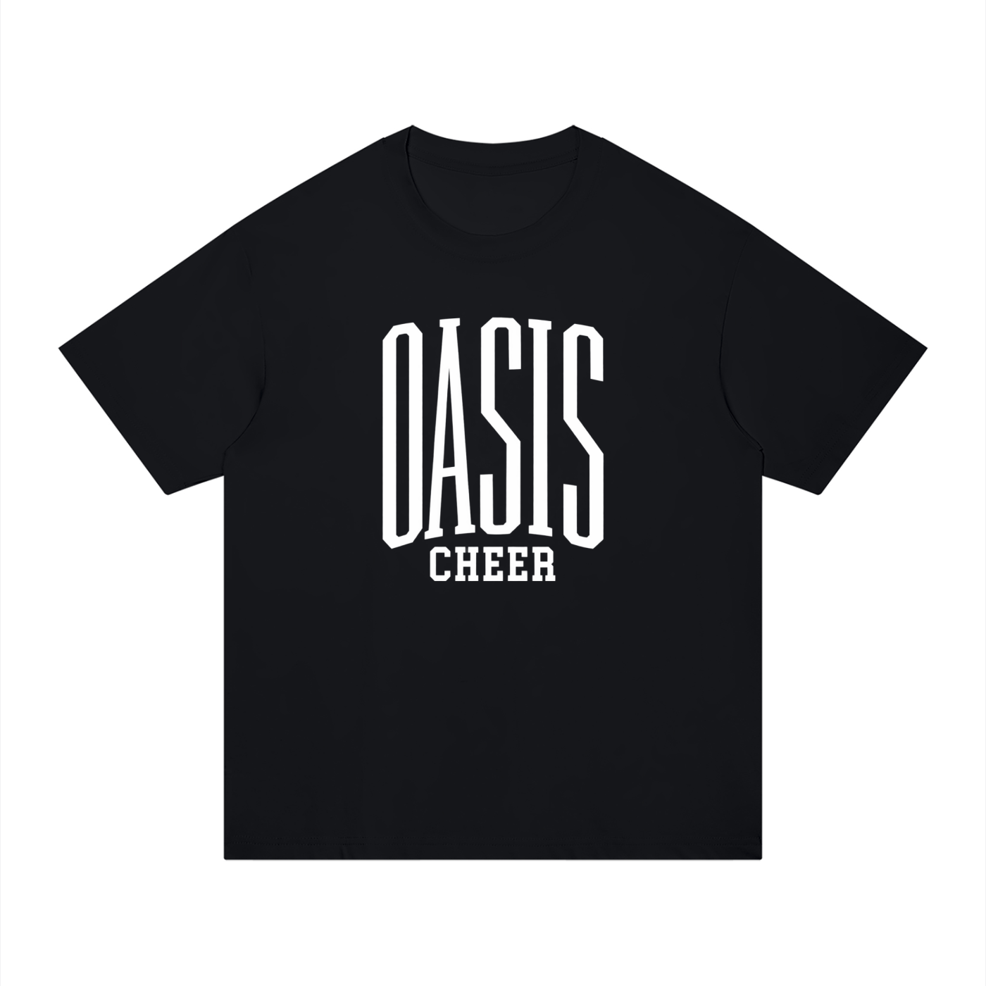 Basic 3 Oasis Unisex Regular Fit Cotton T-Shirt