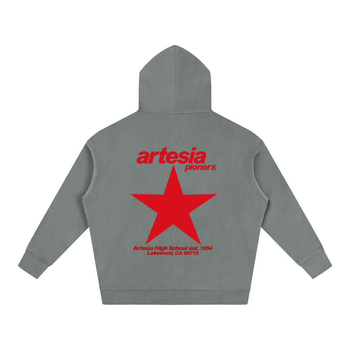 Big Star Artesia Oversize Fleeced Hoodie