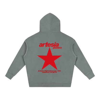Big Star Artesia Oversize Fleeced Hoodie