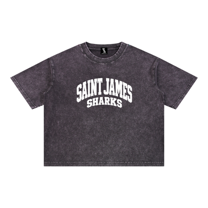 Basic 2 White Saint James Mineral Wash Boxy Cotton T-Shirt