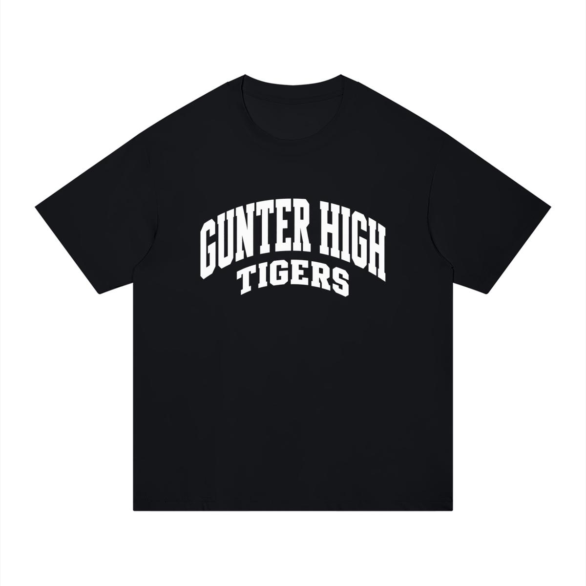 Basic 2 White Gunter Unisex Regular Fit Cotton T-Shirt
