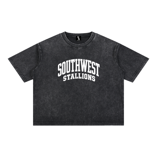 Mineral Wash Boxy Cotton T-Shirt