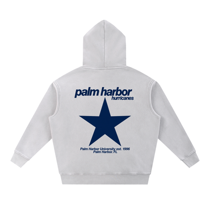 Big Star Palm Harbor Snow Wash Fleece Oversize Hoodie