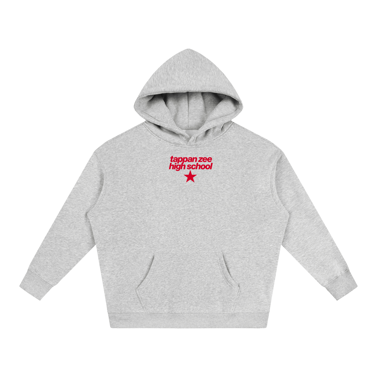 Big Star Tappan Zee Oversize Fleeced Hoodie