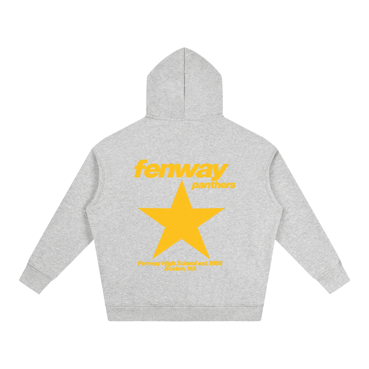 Big Star Fenway Oversize Fleeced Hoodie