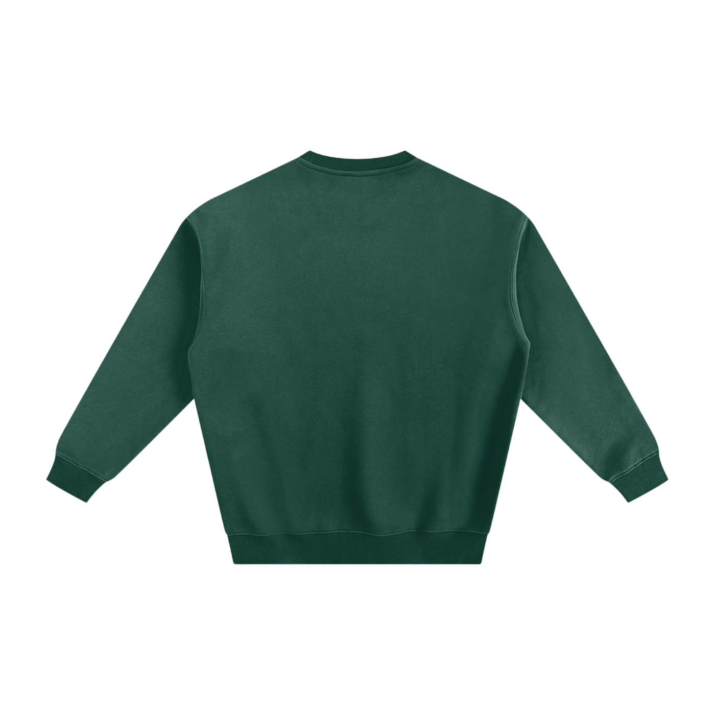 Basic Fleeced Sweatshirt